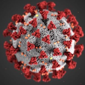 Guante de Goma Multiusos (Par x12)
