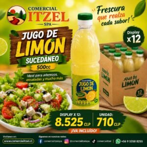 JUGO DE LIMON BOTELLA 500 CC SUCEDANEO BLISTER